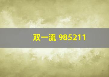 双一流 985211